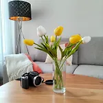 Sakura * Mosonmagyaróvár